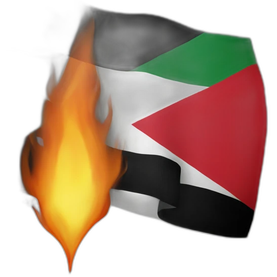 palestine flag in fire emoji