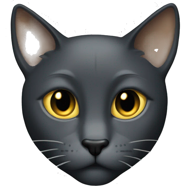 dark gray sleek Tom cat with gold eyes  emoji