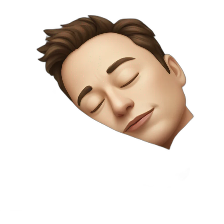 elon musk sleeping emoji
