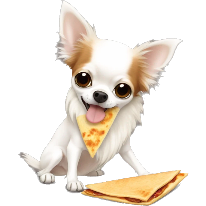 Long-haired white Chihuahua with reddish-brown markings eating a quesadilla emoji