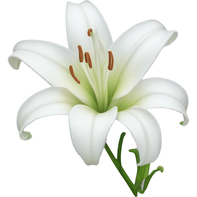 White lily  emoji