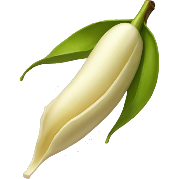 vanilla pod emoji