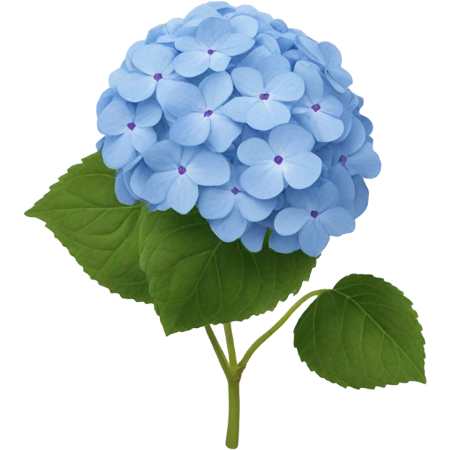 Hydrangea emoji
