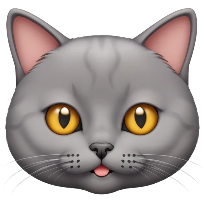 British short-hair cat with a silly face emoji