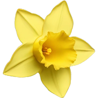 daffodil flowers emoji