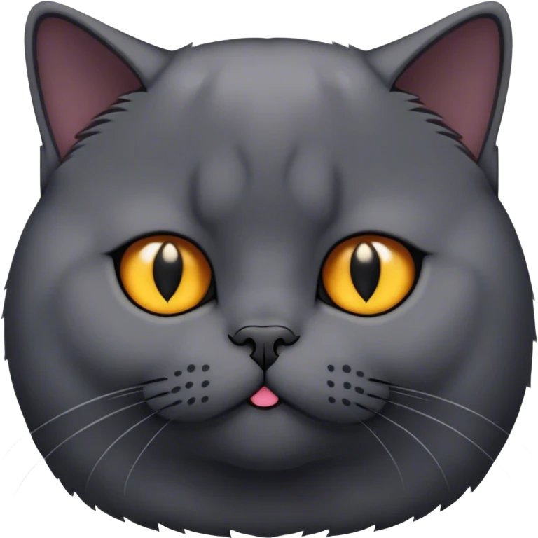 black British shorthair cat emoji