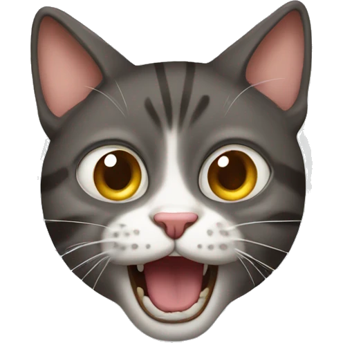 Crazy cat lay emoji