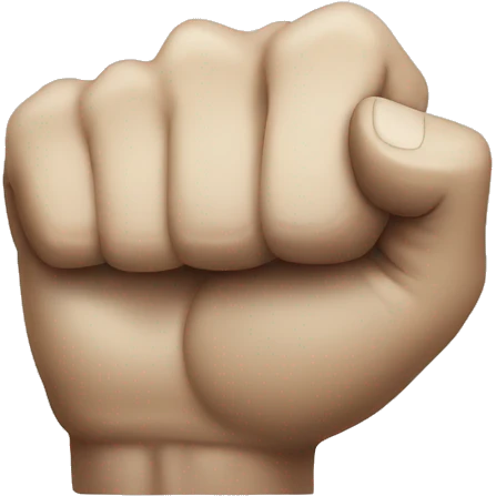fist over fist emoji