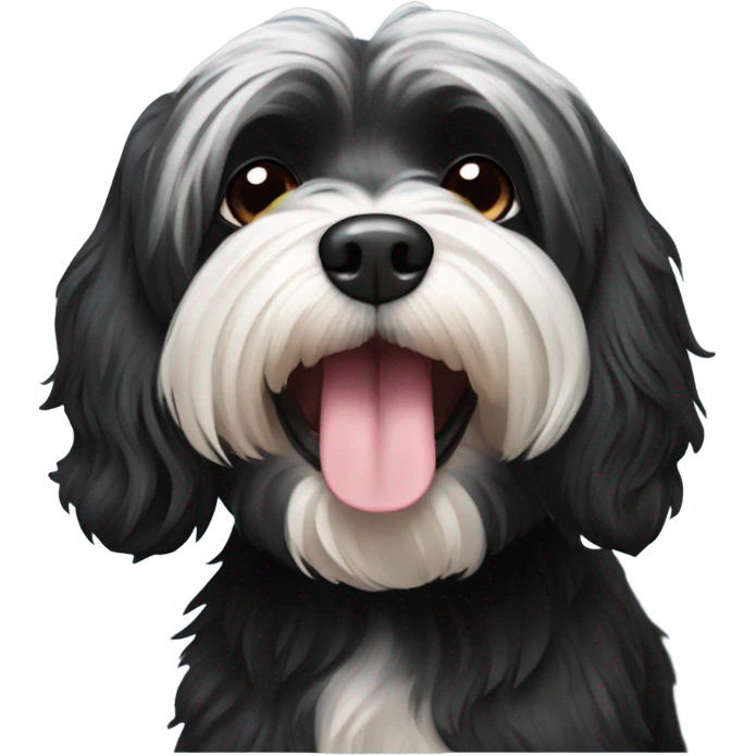 All Black havanese dog emoji