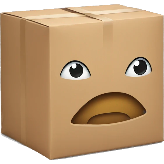 package with zara inscription emoji