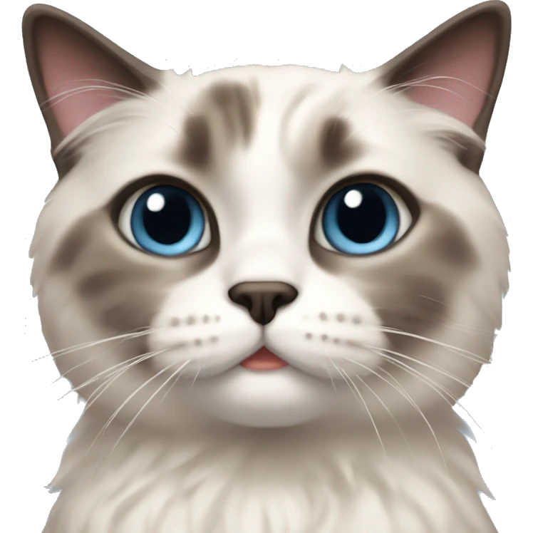 ragdoll shorthair cat emoji
