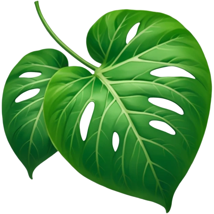 pothos leaf































































 emoji