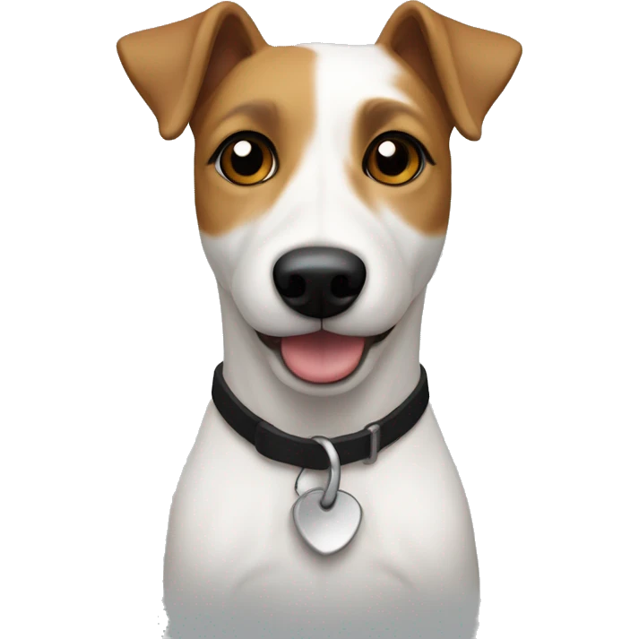 Jack russel cross terrier dog, white body with Black and Tan head  emoji