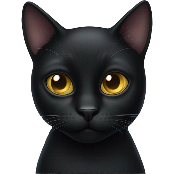 One eyed black cat emoji