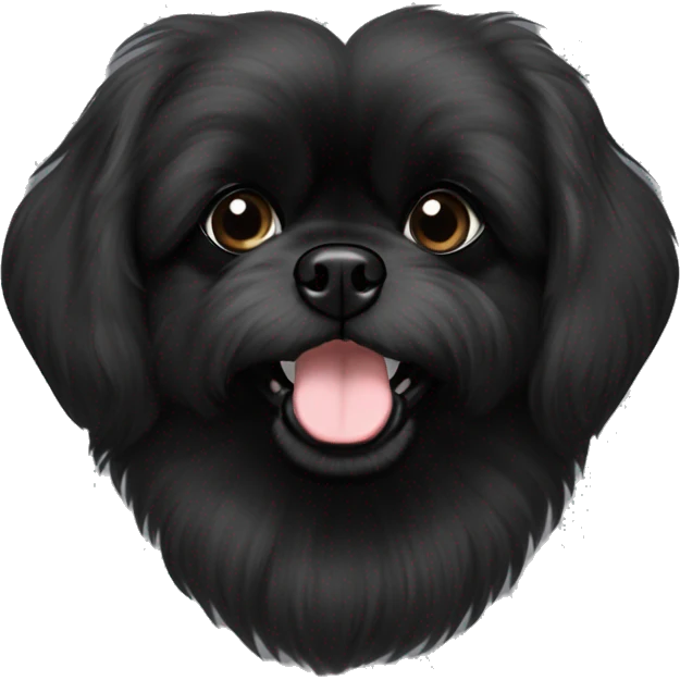 Pekingese poodle mix. All black in color everywhere. No other color. Extreme underbite with teeth showing  emoji