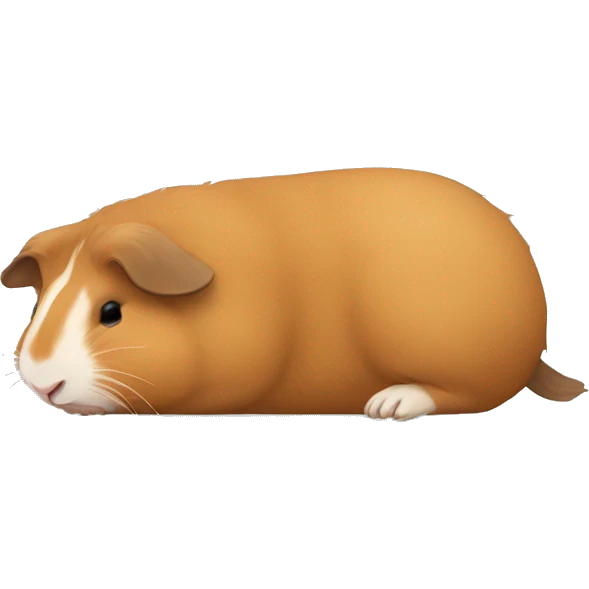 Guineapig sleeping with legs extended  emoji