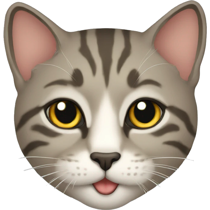 Gato emoji