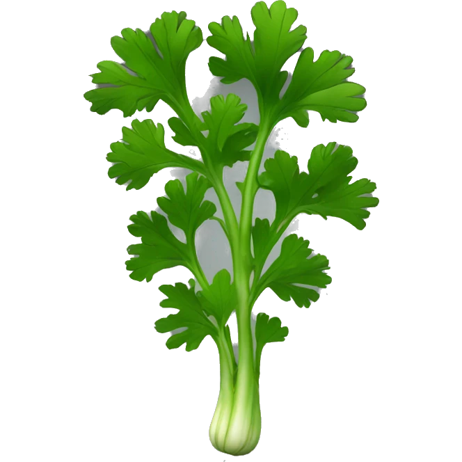 Cilantro with black background emoji