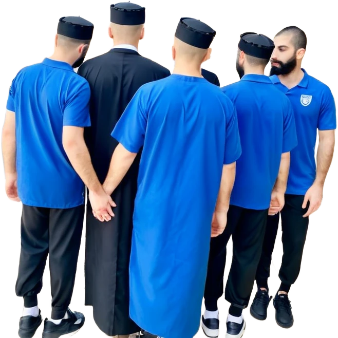 חתול עם כנפיים emoji