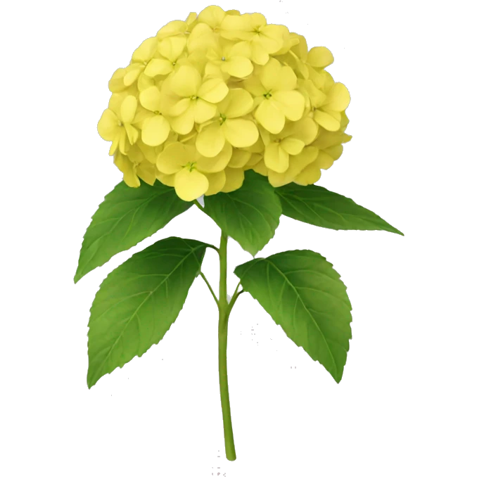 Yellow hydrangea  emoji