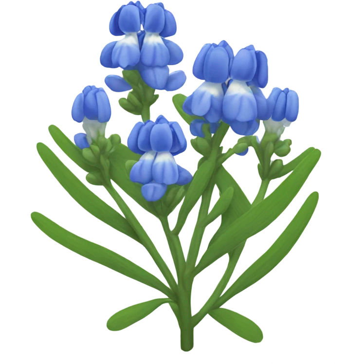 Bluebonnet flower emoji
