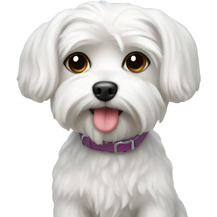 Maltese dog at the beach emoji