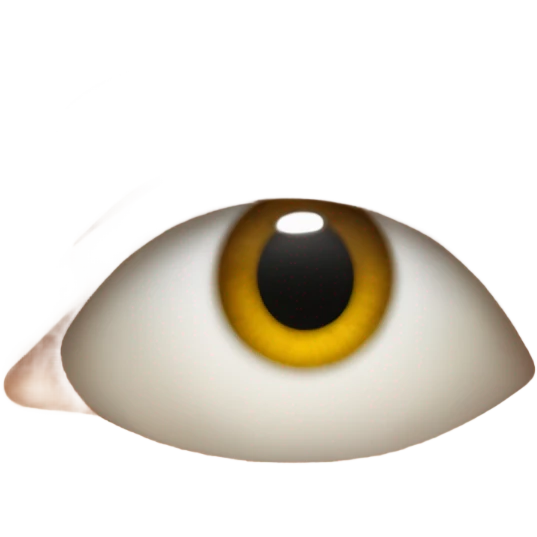 Eye twitching emoji