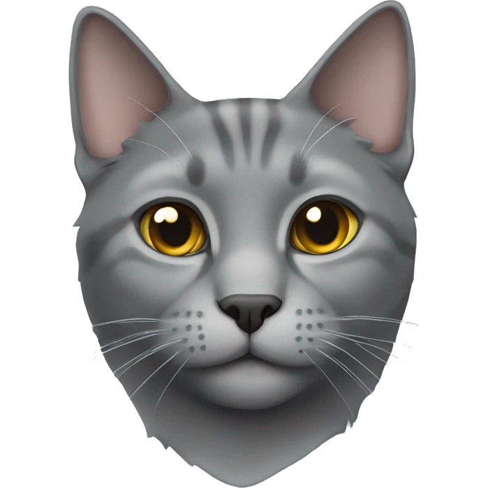 Scottish straight gray cat emoji