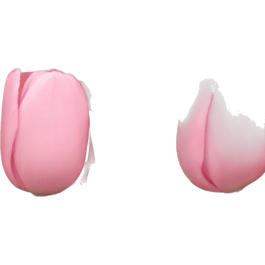 light pink tulips emoji