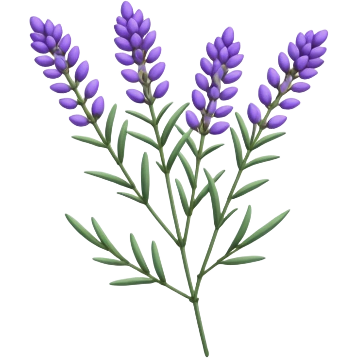 sprig of lavender emoji