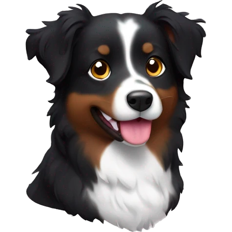 Small black australian shepherd dog with huge maroon heart emoji