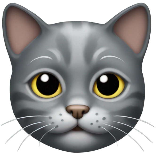 pirate gray cat emoji