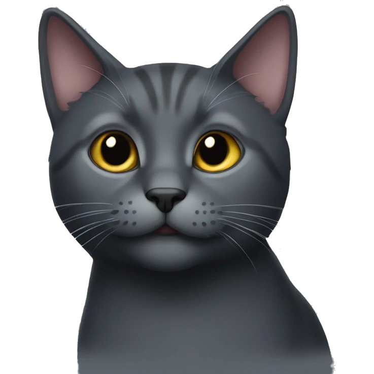 Dark grey cat without strippes emoji