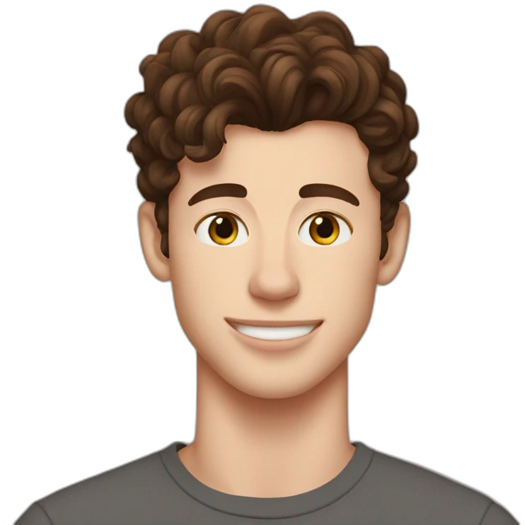 shawn mendes  emoji