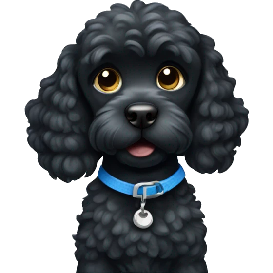 Black cockapoo dog with blue collar emoji
