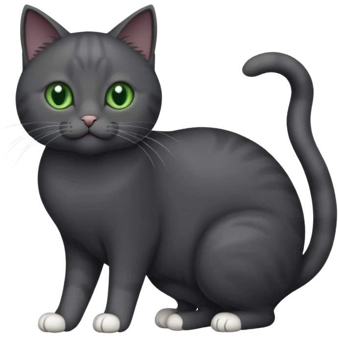 full body gorgeous solid dark grey cat with green eyes, white paws and white whiskers playing emoji