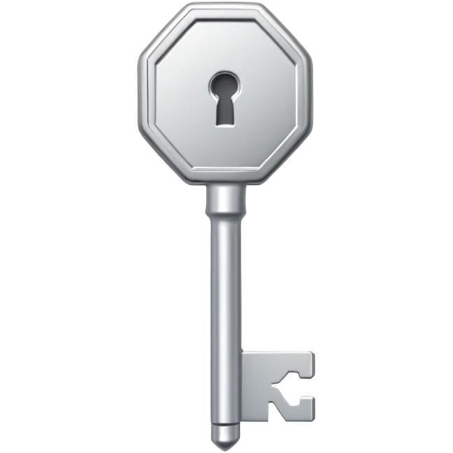 small silver metal key with hexagonal head and the word NATIONAL engraved, clean lines, soft silver tone, minimalistic and precise emoji