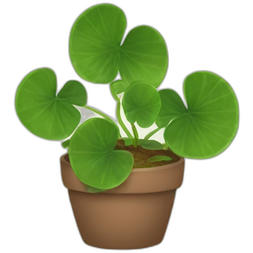 Pilea emoji