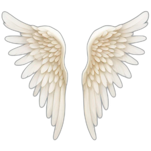 Angel wing emoji