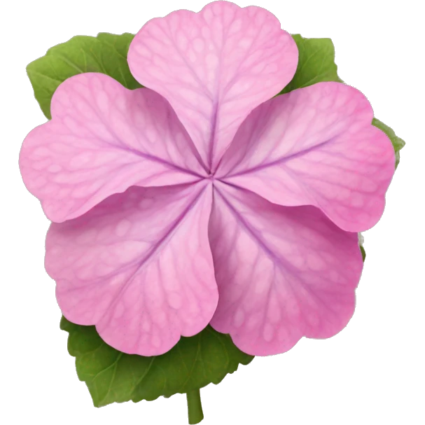 Pink Hortensia  emoji