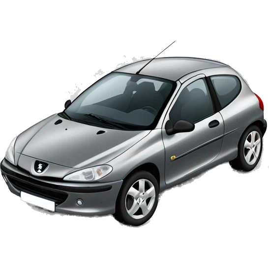 A car Peugeot 206 grey with the registration plate 298 JN 00 and tinted window  emoji