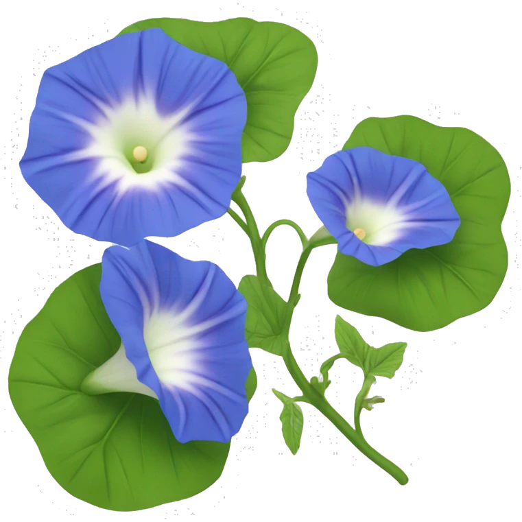 Morning Glory emoji