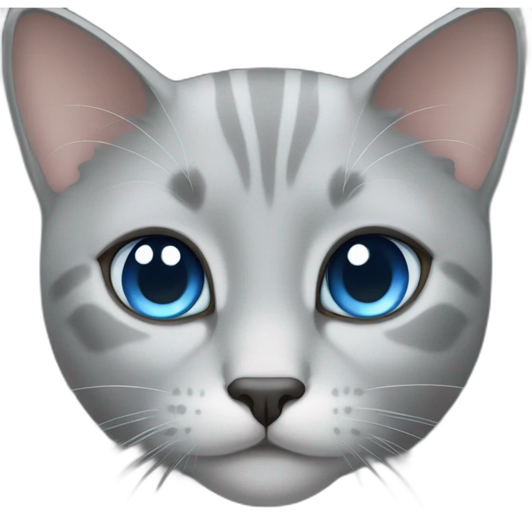 gray cat blue eyes emoji