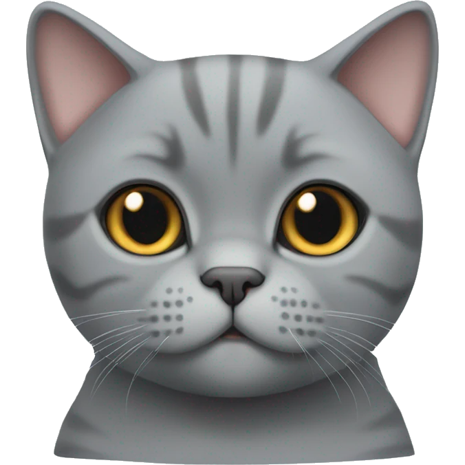 Cute Grey British shorthair cat  emoji