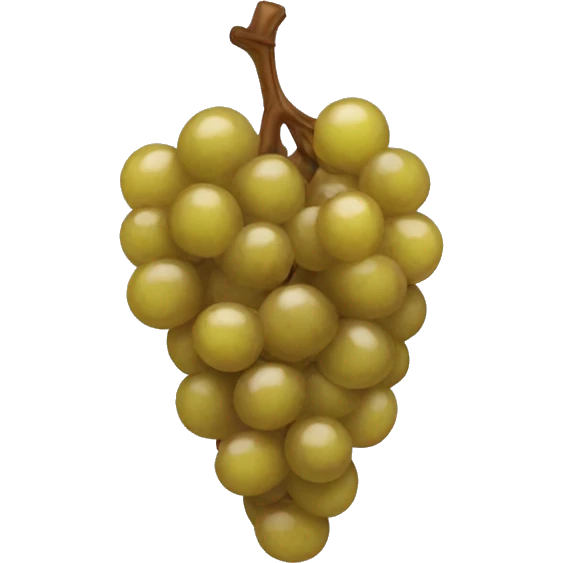 dried grape emoji