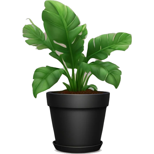 House plant in black flower pot emoji