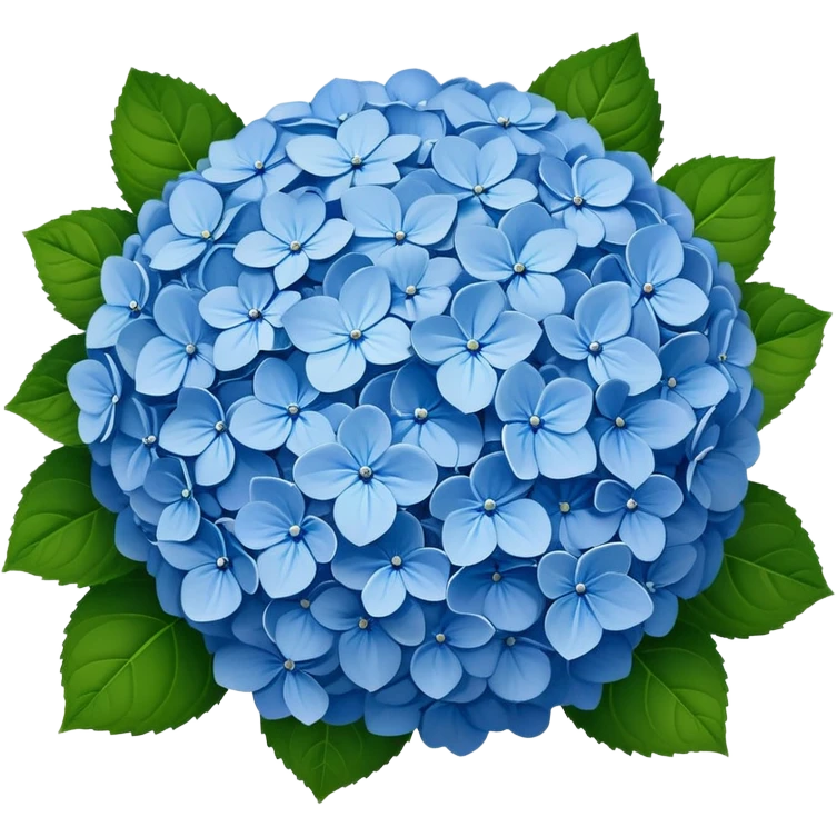 Beautiful blue hydrangea flower cluster with rounded ball shape and lush green leaves emoji