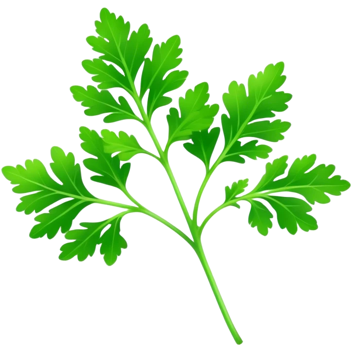 Cinematic Realistic Parsley Emoji, Fresh and vibrant, with bright green, frilly leaves that seem to shimmer with vitality. The plant exudes a sense of healthy growth and aromatic zest, inviting both beauty and flavor into any dish. Soft glowing outline, capturing the essence of freshness, health, and culinary delight in a sprig of parsley! emoji