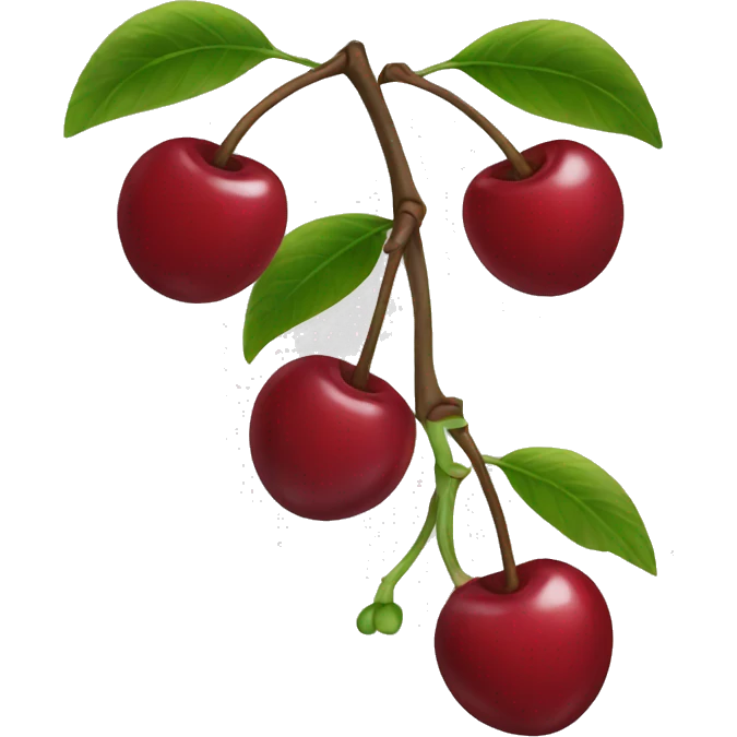 Cherry  emoji
