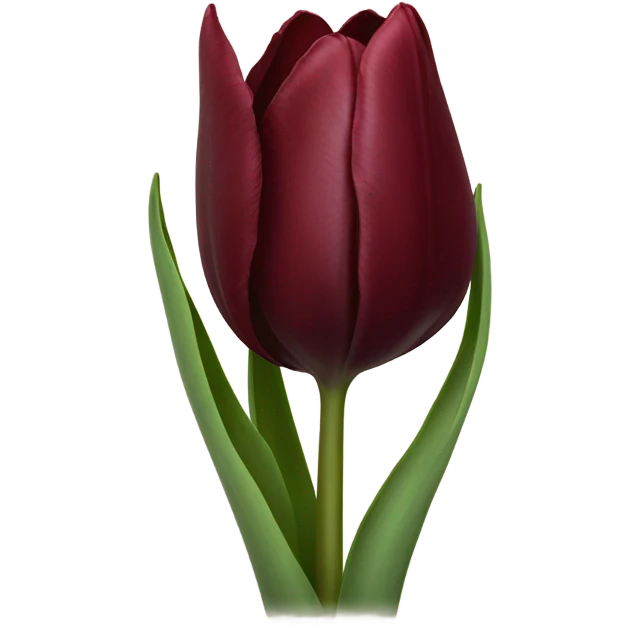 burgundy 🌷 emoji